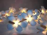 Blue Tropical Frangipani Flower - fairy lights - 35 LED bulbs per string